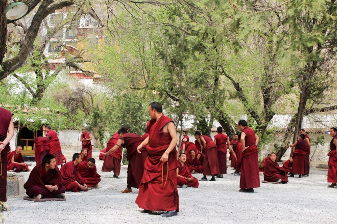 Debating Monks at Sera Monastery in Lhasa (photo by Cibele Reschke) 
